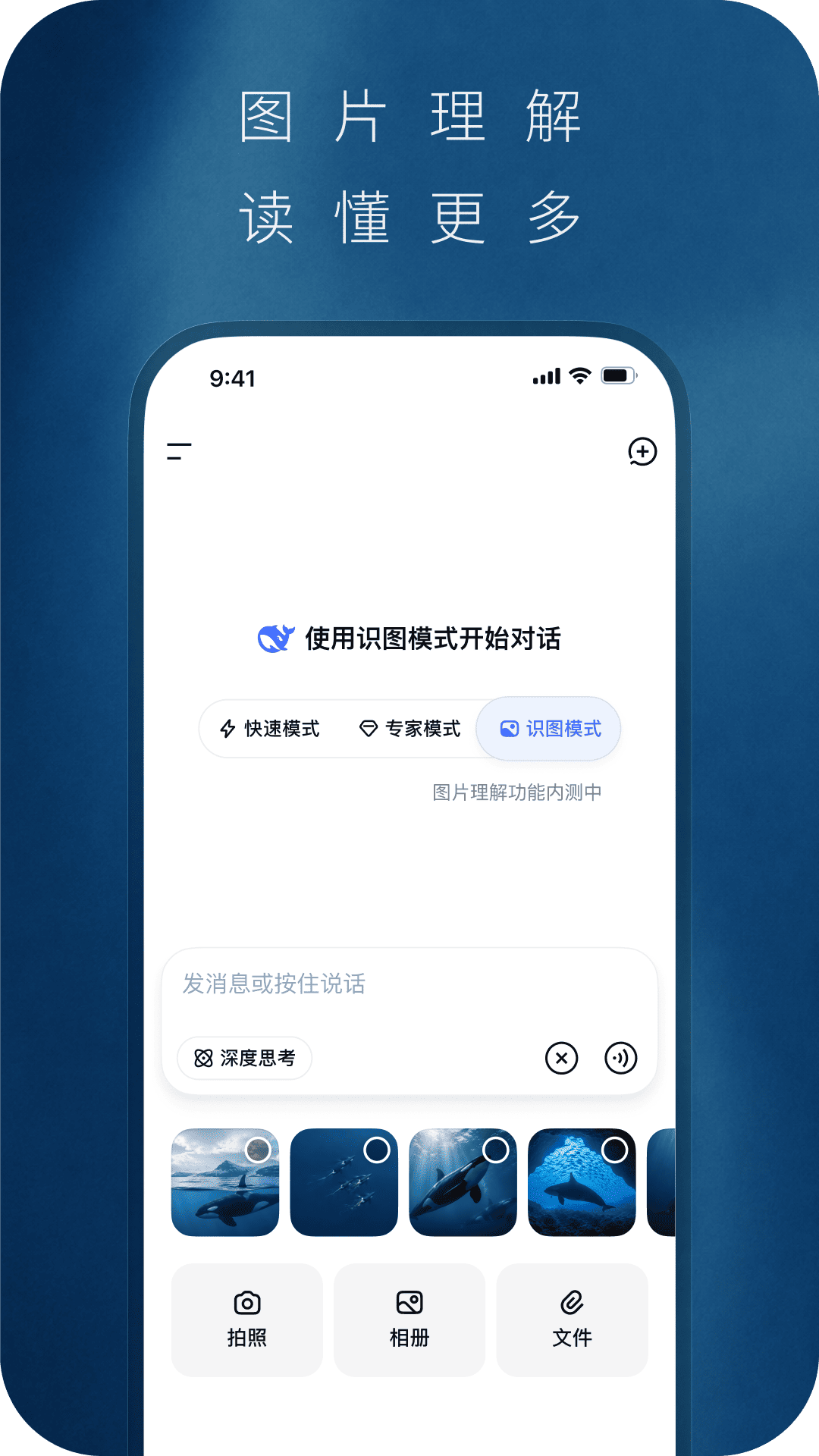 DeepSeek 截图 2